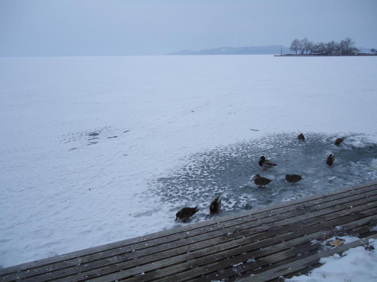 Kek Laguna Vendeghaz Balatonfüred Exterior foto